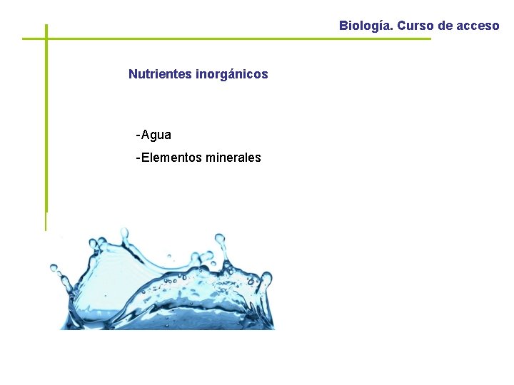 Biología. Curso de acceso Nutrientes inorgánicos -Agua -Elementos minerales 