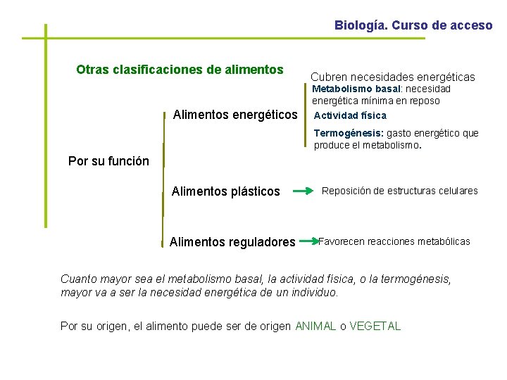 Biología. Curso de acceso Otras clasificaciones de alimentos Cubren necesidades energéticas Metabolismo basal: necesidad