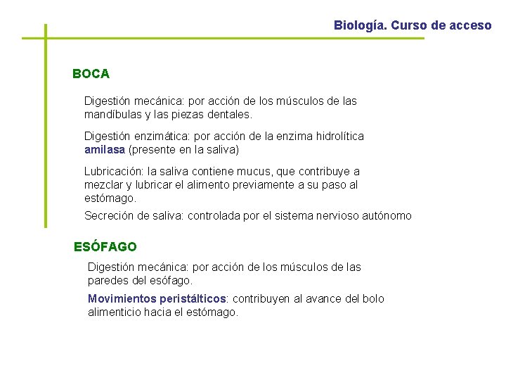 Biología. Curso de acceso BOCA Digestión mecánica: por acción de los músculos de las