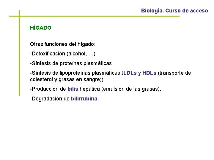 Biología. Curso de acceso HÍGADO Otras funciones del hígado: -Detoxificación (alcohol, …) -Síntesis de