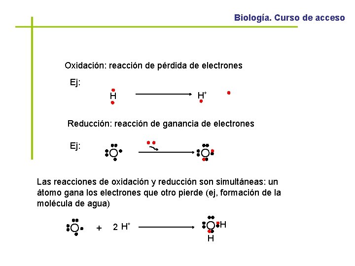 Biología. Curso de acceso Oxidación: reacción de pérdida de electrones Ej: H H+ Reducción: