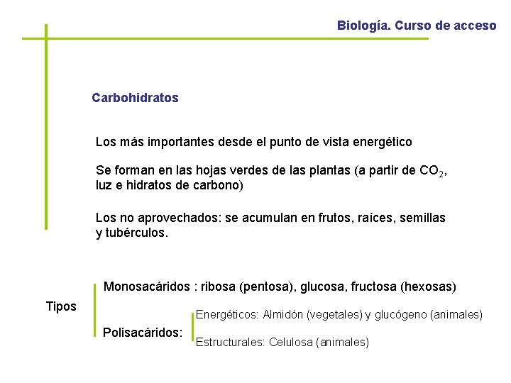 Biología. Curso de acceso Carbohidratos Los más importantes desde el punto de vista energético