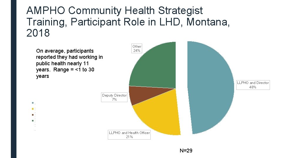 AMPHO Community Health Strategist Training, Participant Role in LHD, Montana, 2018 Other 24% On