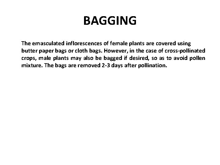 BAGGING The emasculated inflorescences of female plants are covered using butter paper bags or