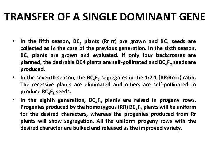 TRANSFER OF A SINGLE DOMINANT GENE • In the fifth season, BC 3 plants