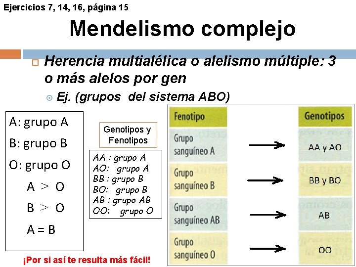 Ejercicios 7, 14, 16, página 15 Mendelismo complejo Herencia multialélica o alelismo múltiple: 3