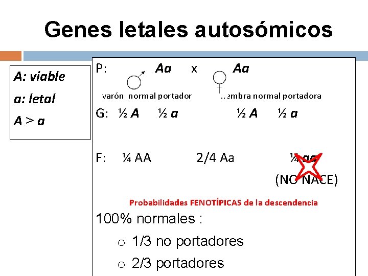 Genes letales autosómicos A: viable a: letal A>a P: Aa x varón normal portador