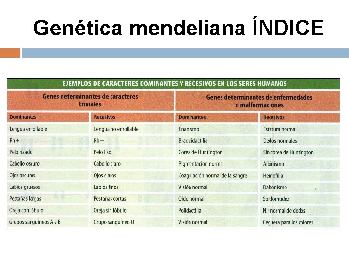 Genética mendeliana ÍNDICE 