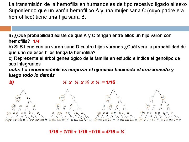 La transmisión de la hemofilia en humanos es de tipo recesivo ligado al sexo.