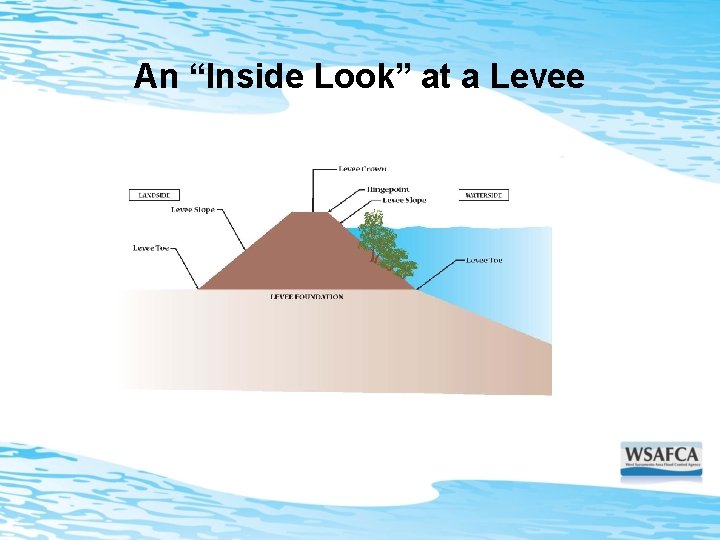 An “Inside Look” at a Levee 