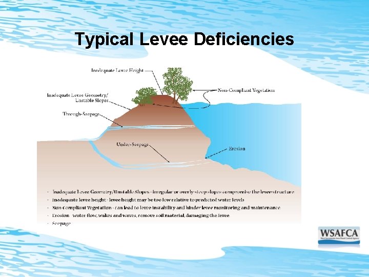 Typical Levee Deficiencies 