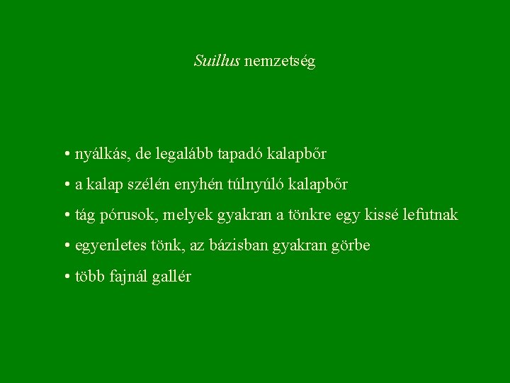 Suillus nemzetség • nyálkás, de legalább tapadó kalapbőr • a kalap szélén enyhén túlnyúló