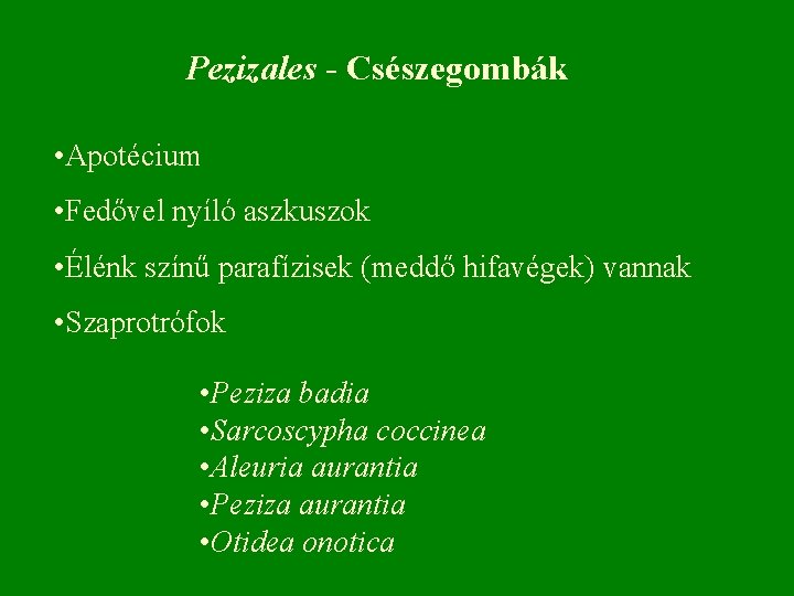 Pezizales - Csészegombák • Apotécium • Fedővel nyíló aszkuszok • Élénk színű parafízisek (meddő