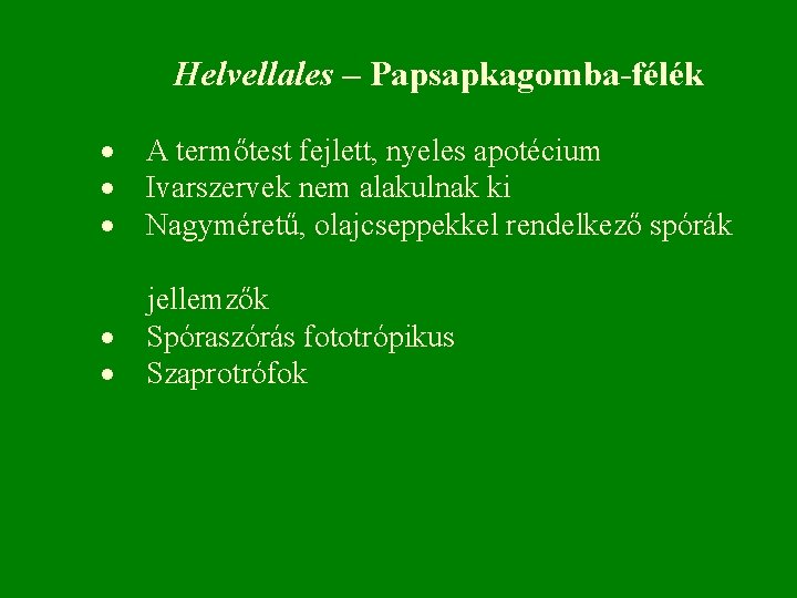 Helvellales – Papsapkagomba-félék · A termőtest fejlett, nyeles apotécium · Ivarszervek nem alakulnak ki