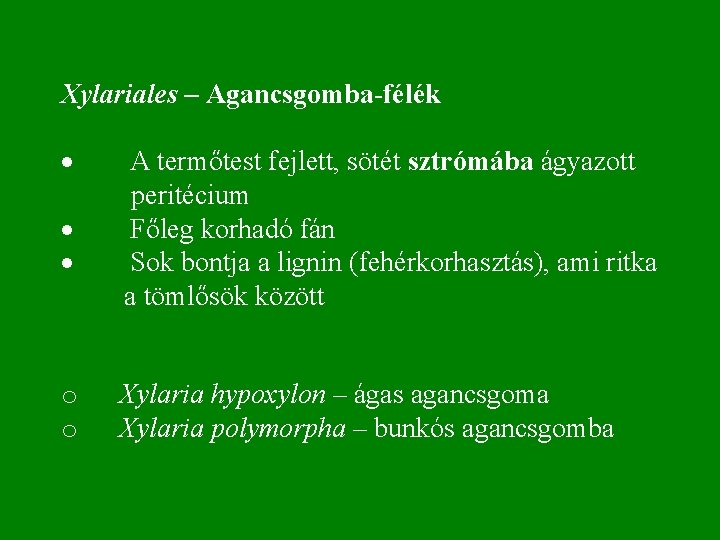 Xylariales – Agancsgomba-félék · A termőtest fejlett, sötét sztrómába ágyazott peritécium · Főleg korhadó