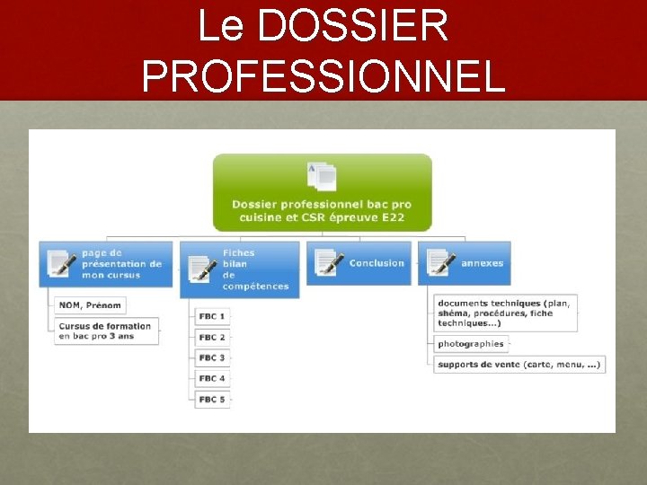 Le DOSSIER PROFESSIONNEL 