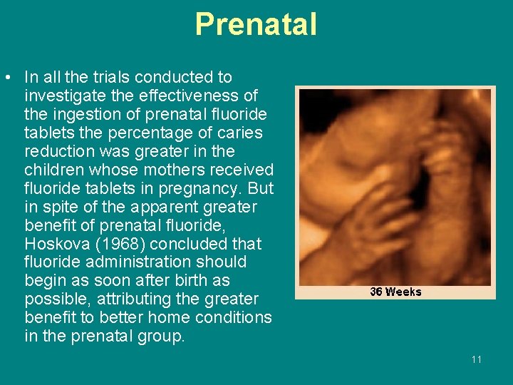 Prenatal • In all the trials conducted to investigate the effectiveness of the ingestion