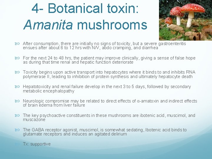 4 - Botanical toxin: Amanita mushrooms After consumption, there are initially no signs of