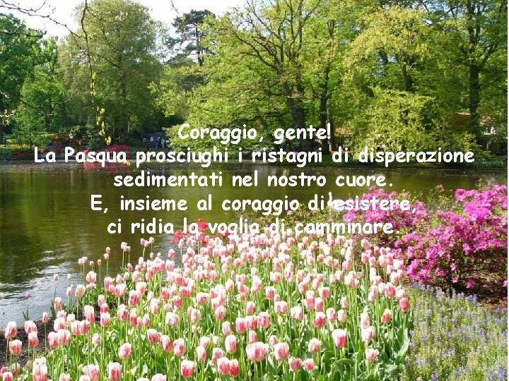 Coraggio, gente! La Pasqua prosciughi i ristagni di disperazione sedimentati nel nostro cuore. E,