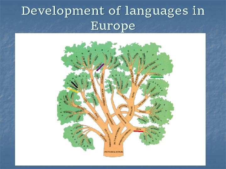 Development of languages in Europe 