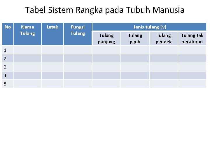 Tabel Sistem Rangka pada Tubuh Manusia No 1 2 3 4 5 Nama Tulang