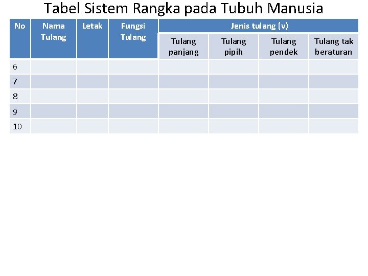 Tabel Sistem Rangka pada Tubuh Manusia No 6 7 8 9 10 Nama Tulang