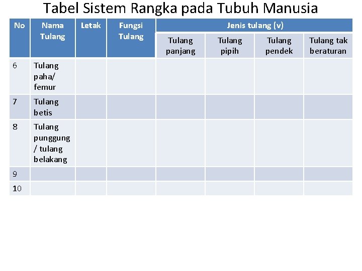 Tabel Sistem Rangka pada Tubuh Manusia No Nama Tulang 6 Tulang paha/ femur 7