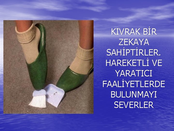 KIVRAK BİR ZEKAYA SAHİPTİRLER. HAREKETLİ VE YARATICI FAALİYETLERDE BULUNMAYI SEVERLER 