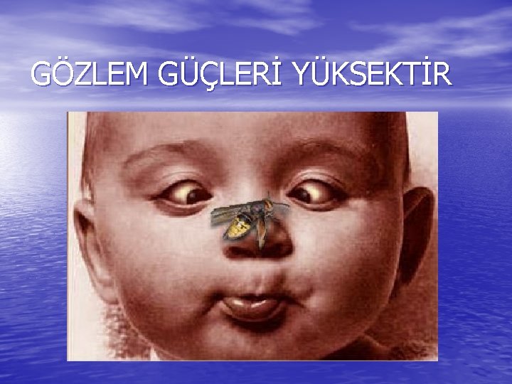 GÖZLEM GÜÇLERİ YÜKSEKTİR 