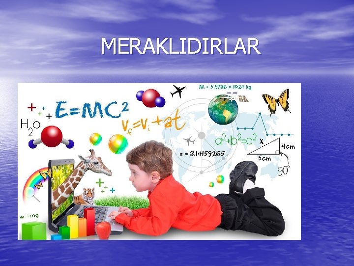 MERAKLIDIRLAR 