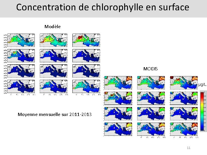 Concentration de chlorophylle en surface Modèle MODIS µg/L Moyenne mensuelle sur 2011 -2013 11