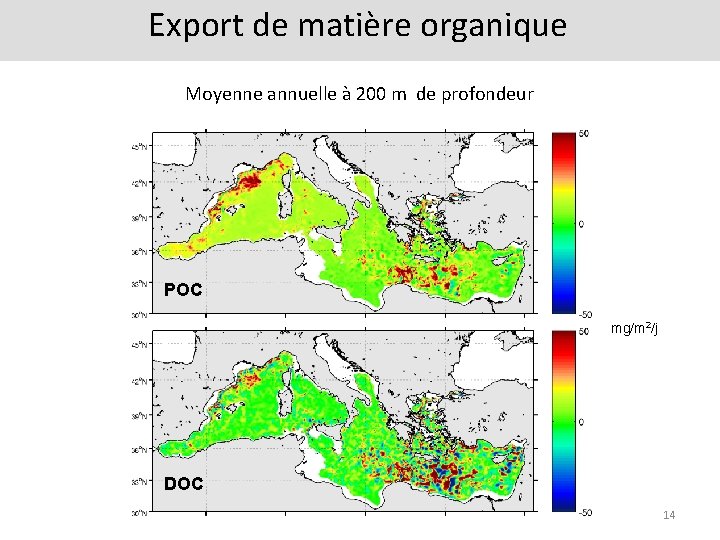 Export de matière organique Moyenne annuelle à 200 m de profondeur POC mg/m 2/j