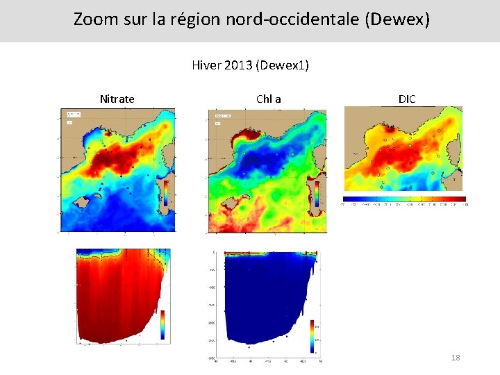 Zoom sur la région nord-occidentale (Dewex) Hiver 2013 (Dewex 1) Nitrate Chl a DIC