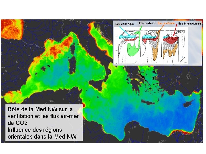 Rôle de la Med NW sur la ventilation et les flux air-mer de CO