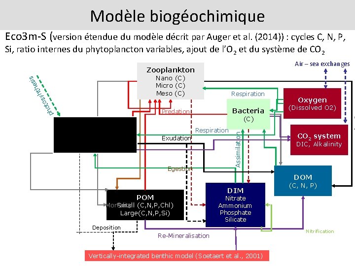 Modèle biogéochimique Eco 3 m-S (version étendue du modèle décrit par Auger et al.