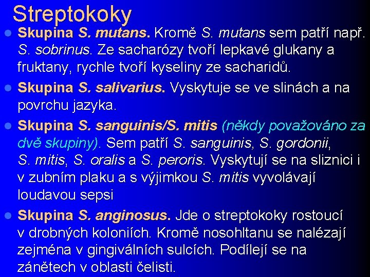 Streptokoky Skupina S. mutans. Kromě S. mutans sem patří např. S. sobrinus. Ze sacharózy