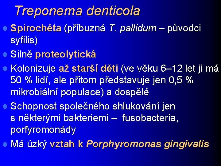 Treponema denticola l Spirochéta (příbuzná T. pallidum – původci syfilis) l Silně proteolytická l