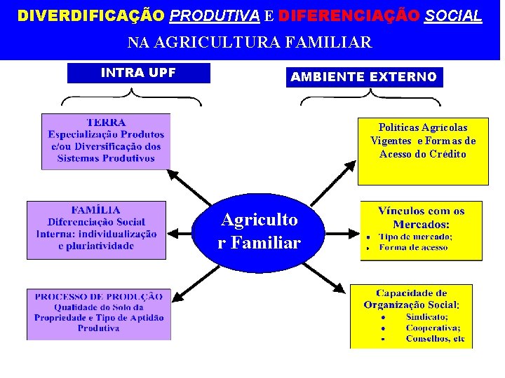 DIVERDIFICAÇÃO PRODUTIVA E DIFERENCIAÇÃO SOCIAL NA AGRICULTURA FAMILIAR INTRA -UPF AMBIENTE EXTERNO Políticas Agrícolas