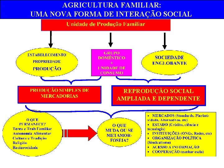 AGRICULTURA FAMILIAR: UMA NOVA FORMA DE INTERAÇÃO SOCIAL REPRODUÇÃO SOCIAL AMPLIADA E DEPENDENTE 