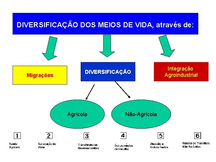 DIVERSIFICAÇÃO DOS MEIOS DE VIDA, através de: Migrações DIVERSIFICAÇÃO Agrícola Não-Agrícola Integração Agroindustrial 