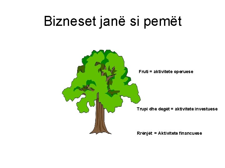 Bizneset janë si pemët Fruti = aktivitete operuese Trupi dhe degët = aktivitete investuese