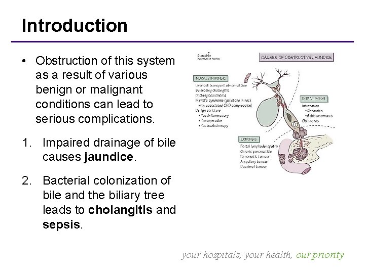 Introduction • Obstruction of this system as a result of various benign or malignant