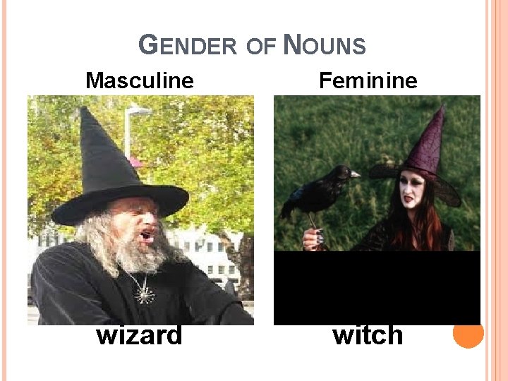 GENDER OF NOUNS Masculine Feminine wizard witch 