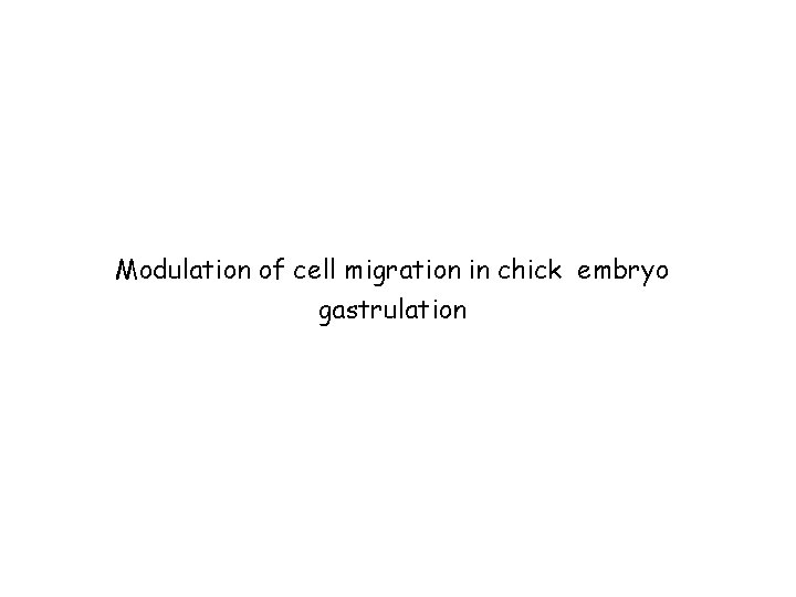 Modulation of cell migration in chick embryo gastrulation 