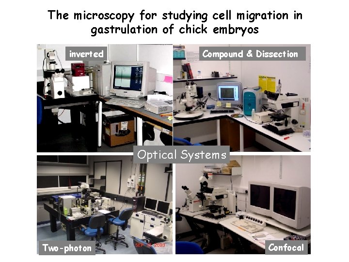 The microscopy for studying cell migration in gastrulation of chick embryos inverted Compound &