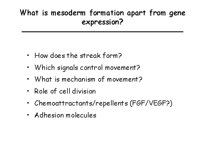 What is mesoderm formation apart from gene expression? • How does the streak form?