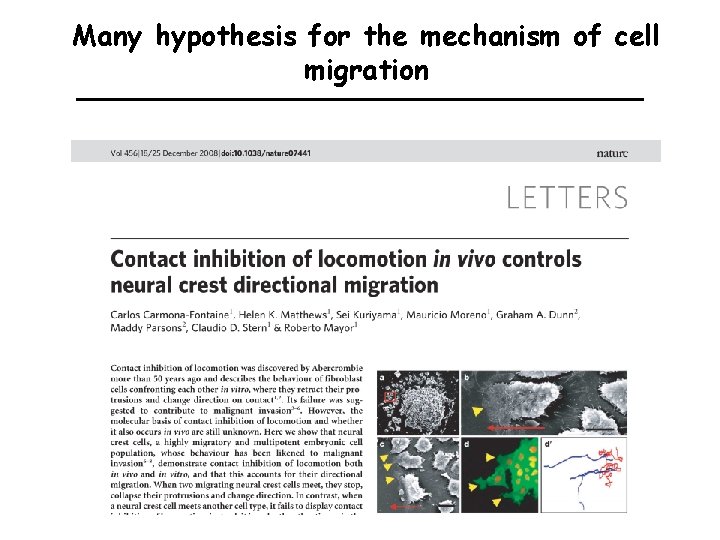 Many hypothesis for the mechanism of cell migration 