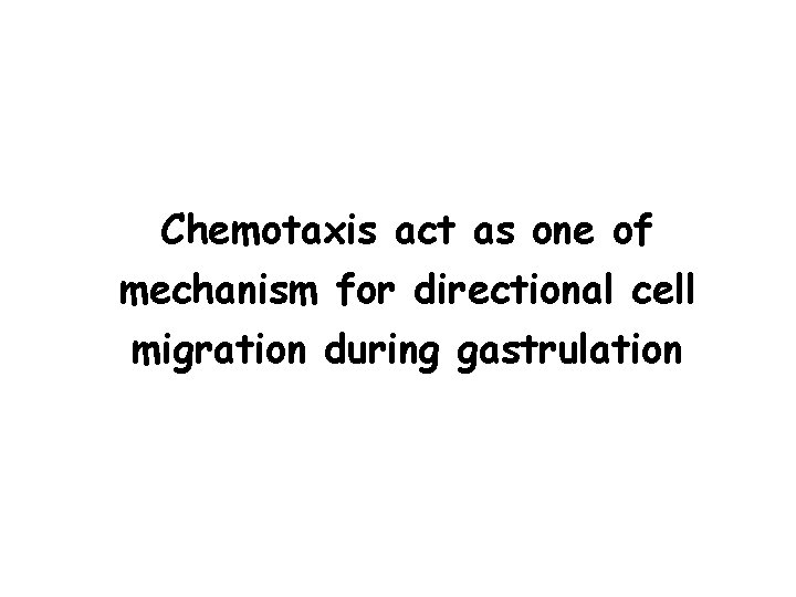 Chemotaxis act as one of mechanism for directional cell migration during gastrulation 