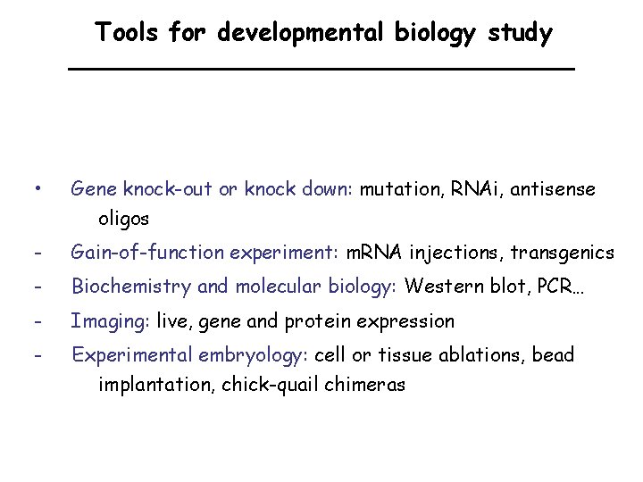 Tools for developmental biology study • Gene knock-out or knock down: mutation, RNAi, antisense