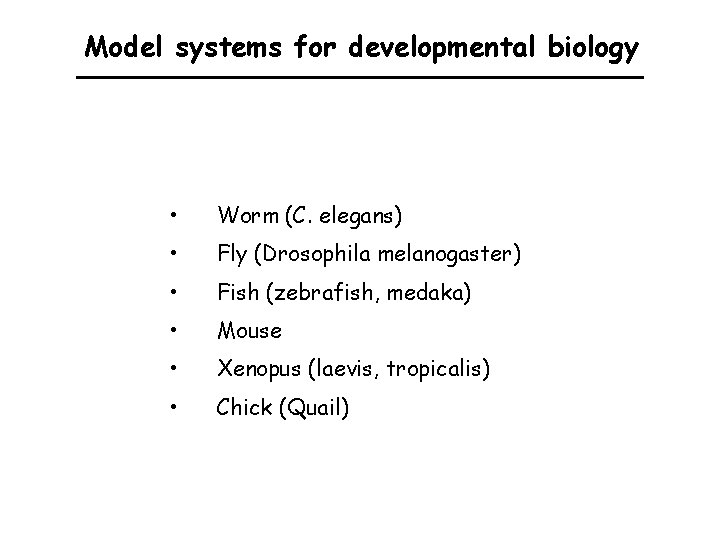 Model systems for developmental biology • Worm (C. elegans) • Fly (Drosophila melanogaster) •